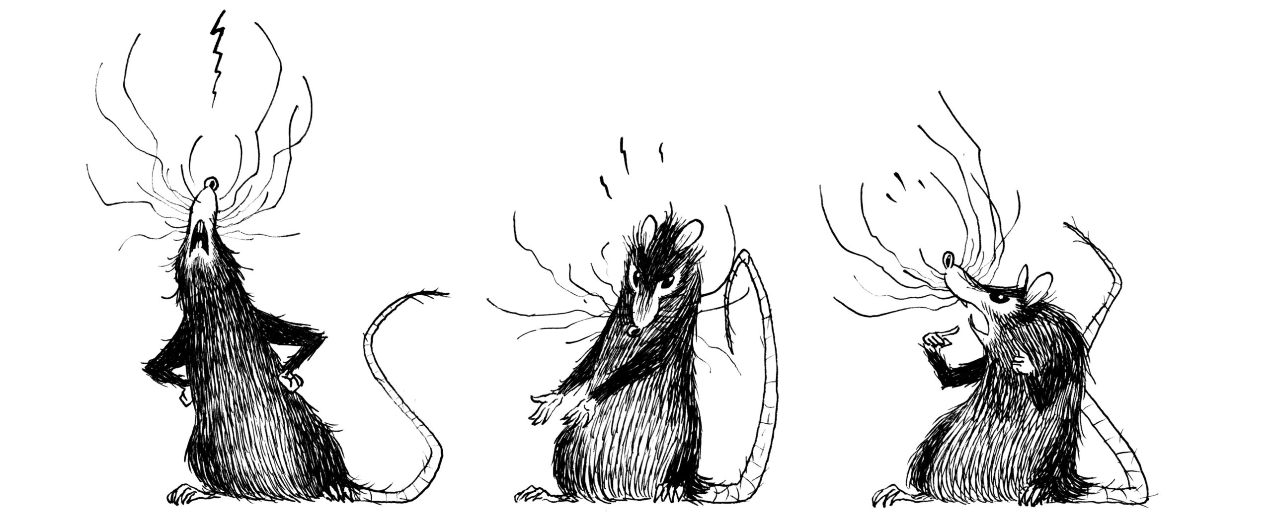 Rata y los animales feúchos