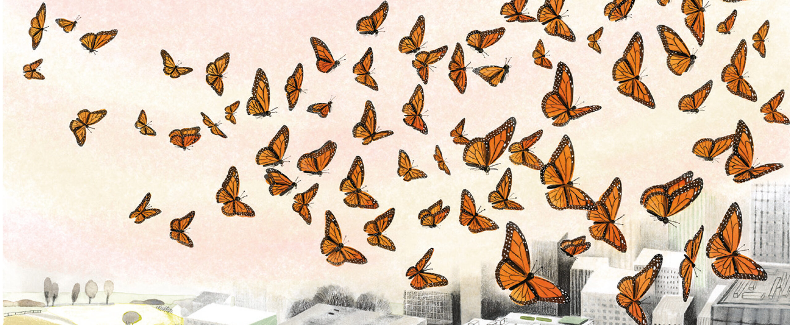 La mariposa monarca