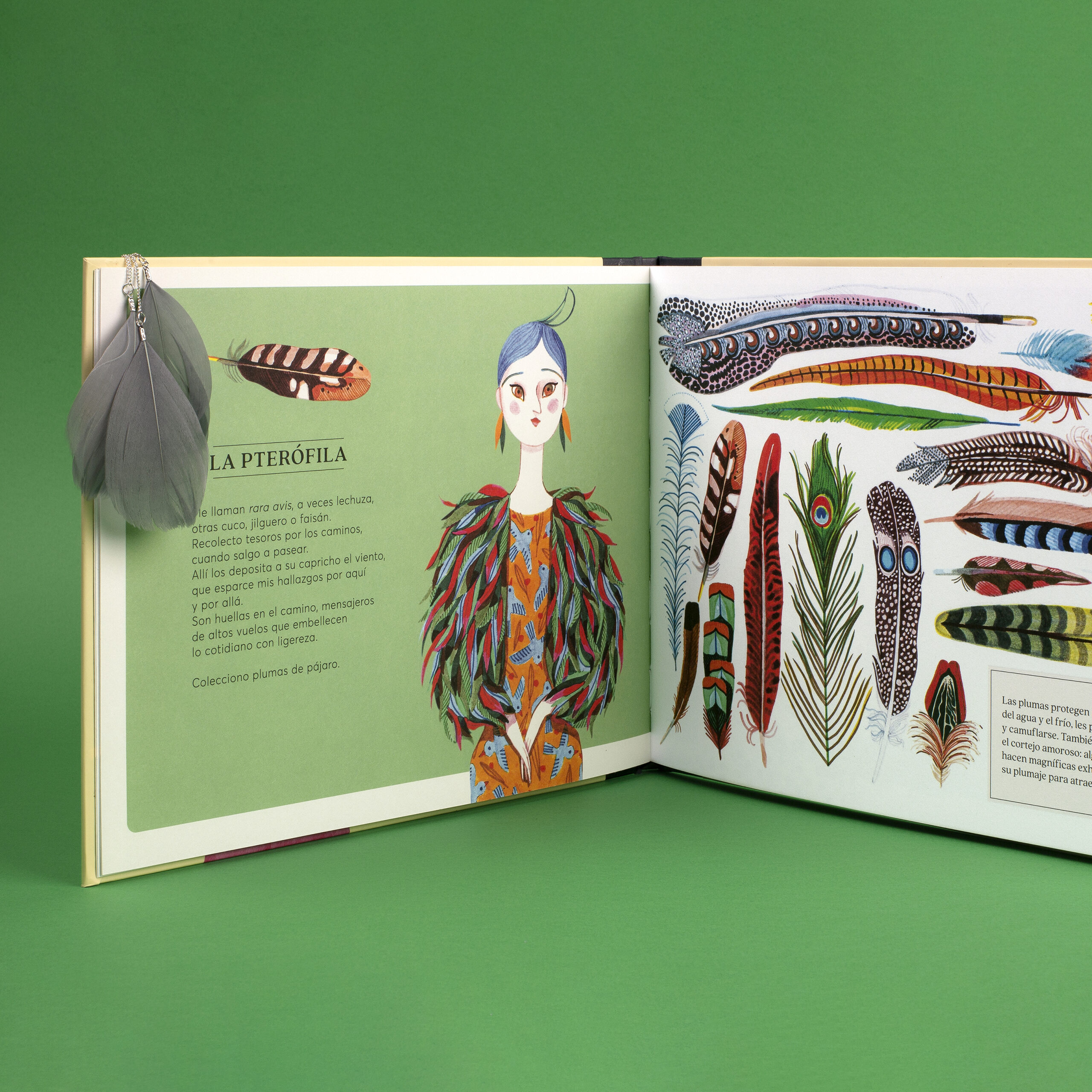 TesorosDeColeccionistas 0419 1x1