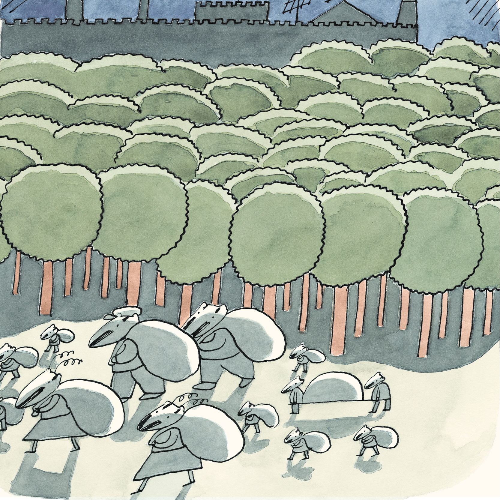 enigmaeucalipto destacadas2