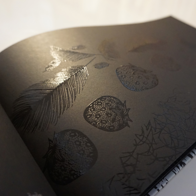El llibre negre dels colors (Edició especial 20 anys) - Imagen 4