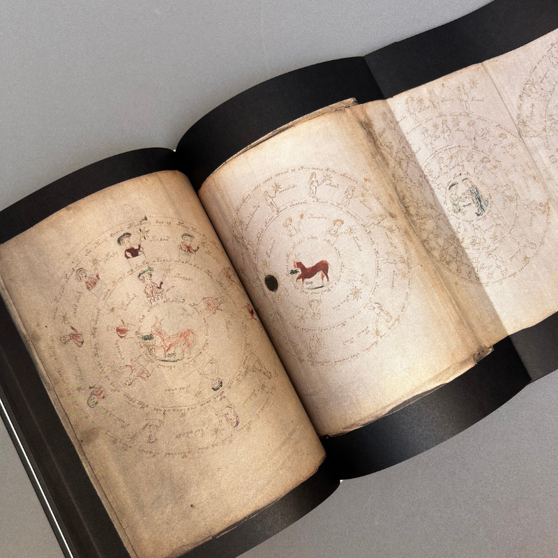 Manuscrito Voynich - Imatge 3