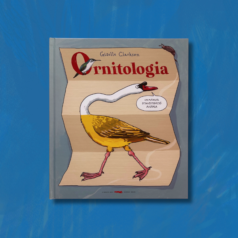 Ornitologia - Imagen 2